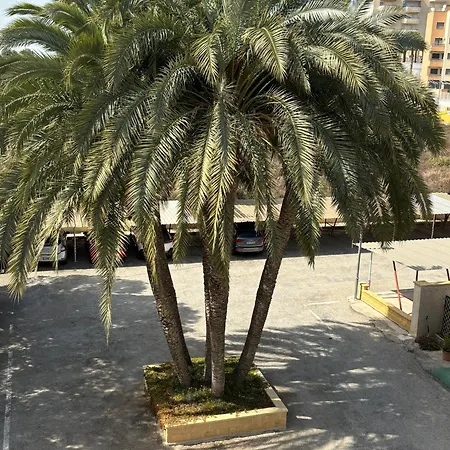 Congo Apartment