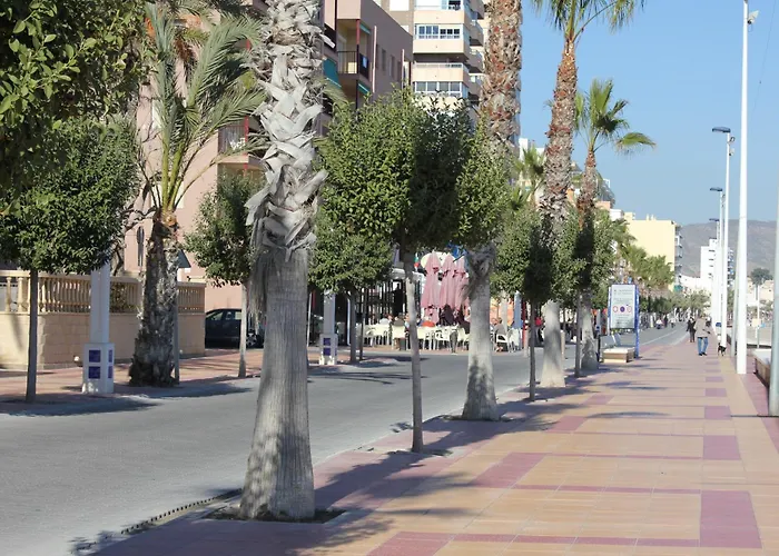 Congo El Campello