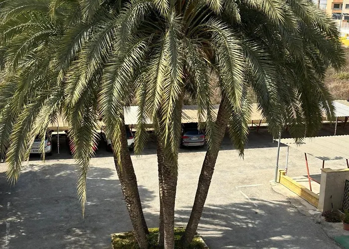 Congo דירה